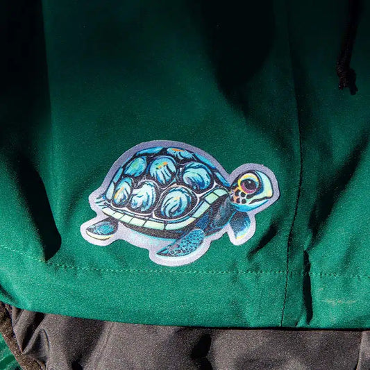 TURTLE